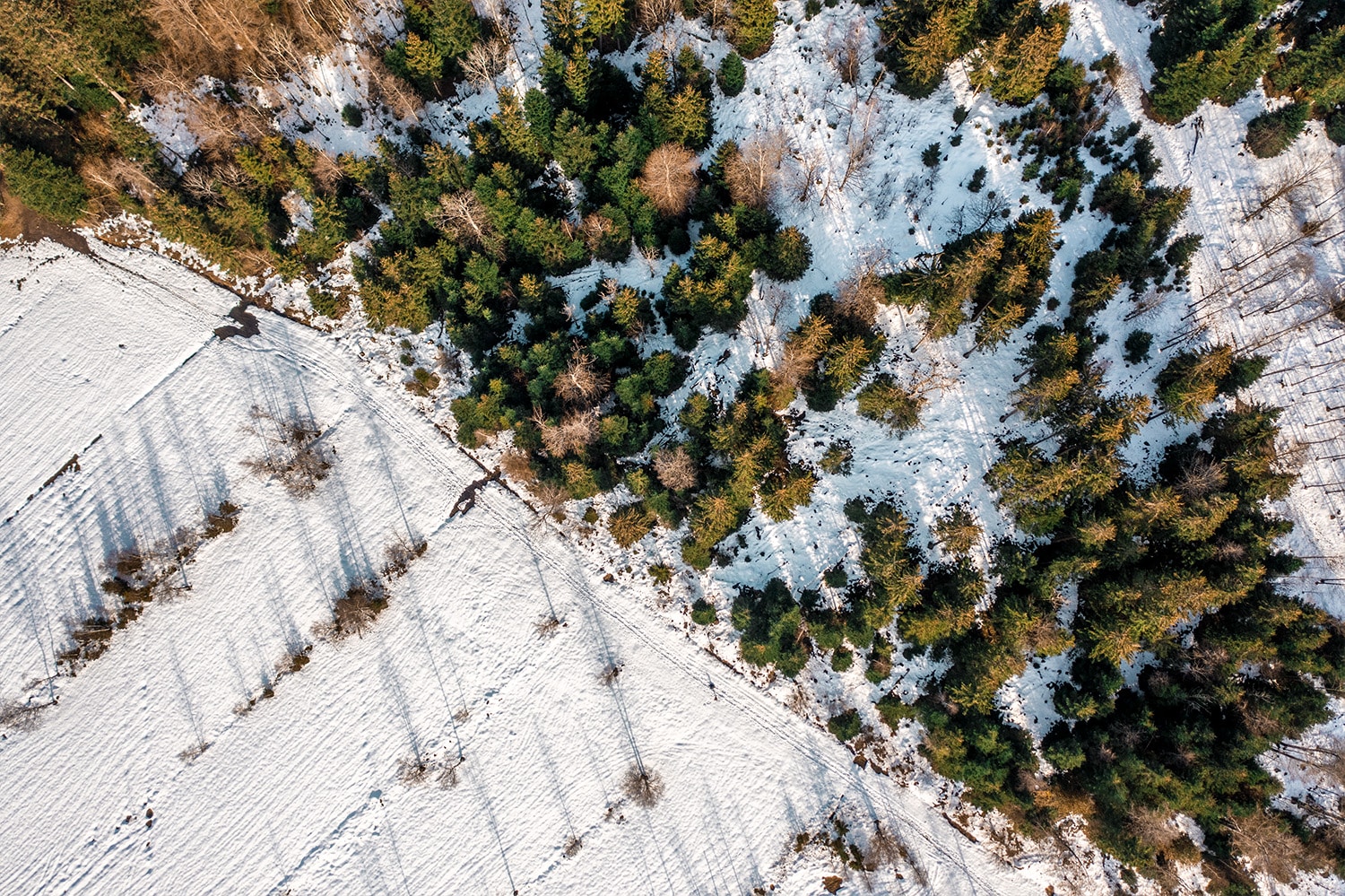 Luftbild von schneebedeckten Feldern und Wäldern.